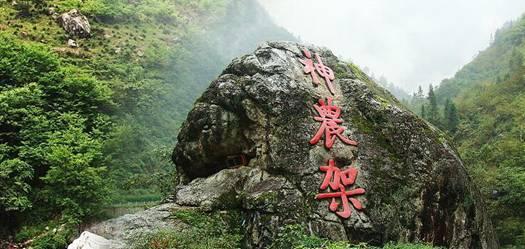 黑道圣徒4